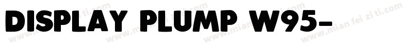 Display Plump W95字体转换